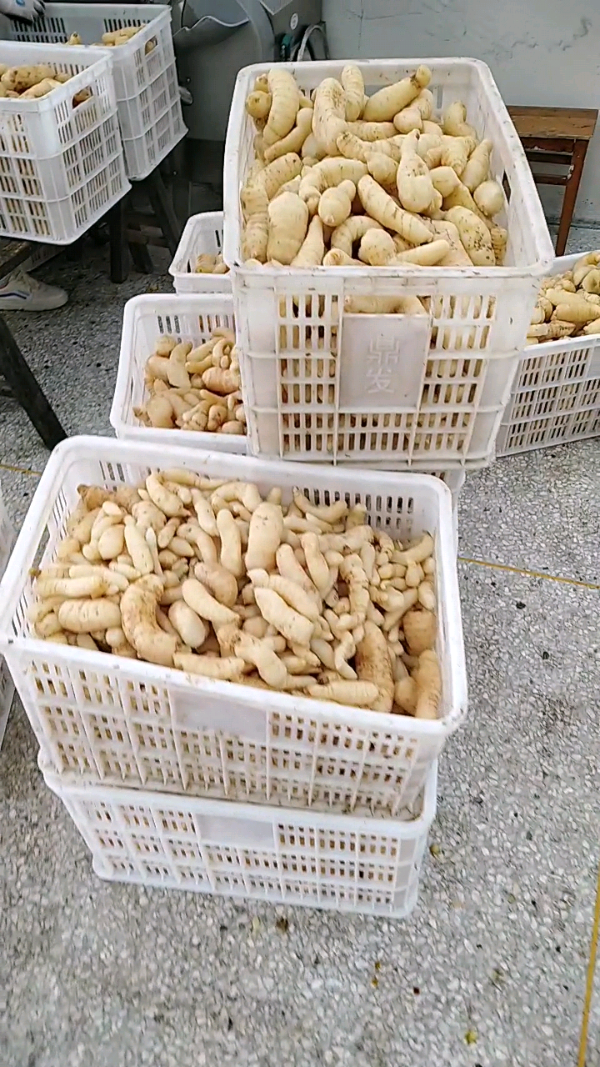 益陽瑪山產(chǎn)業(yè)機(jī)械有限公司，湖南益陽螺旋風(fēng)管廠家，熱風(fēng)食品烤房